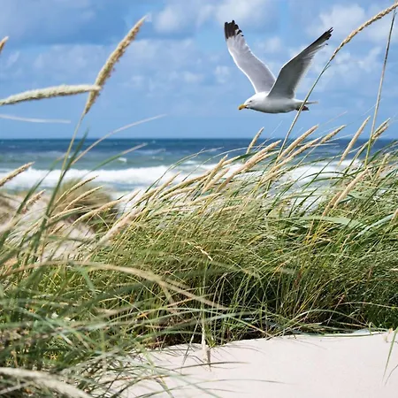 Apartamento Duplex In With Sea Views *